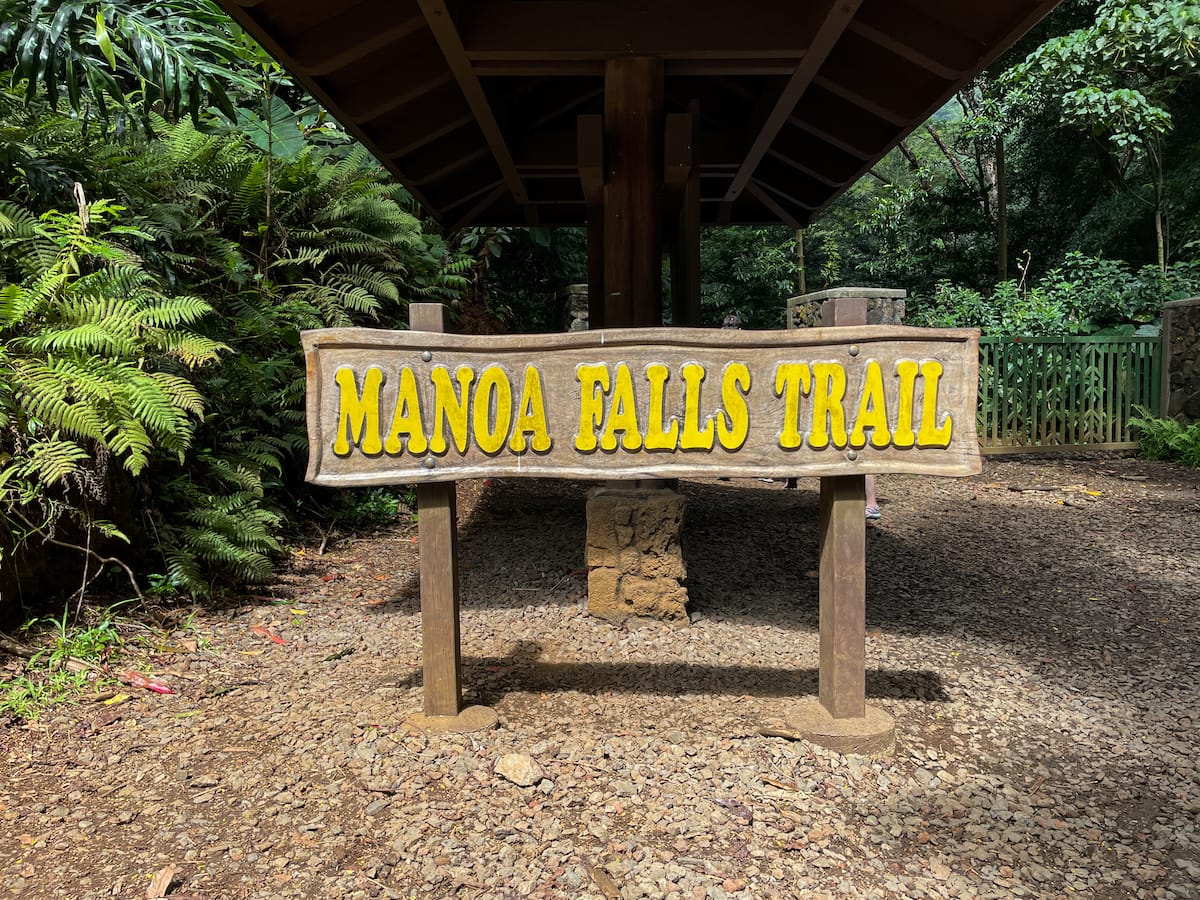 Manoa-Falls-Trail-On-Oahu-Hawaii-Complete-Hiker8217s-Guide manoa-falls-trail-on-oahu-hawaii-complete-hikers-guide
