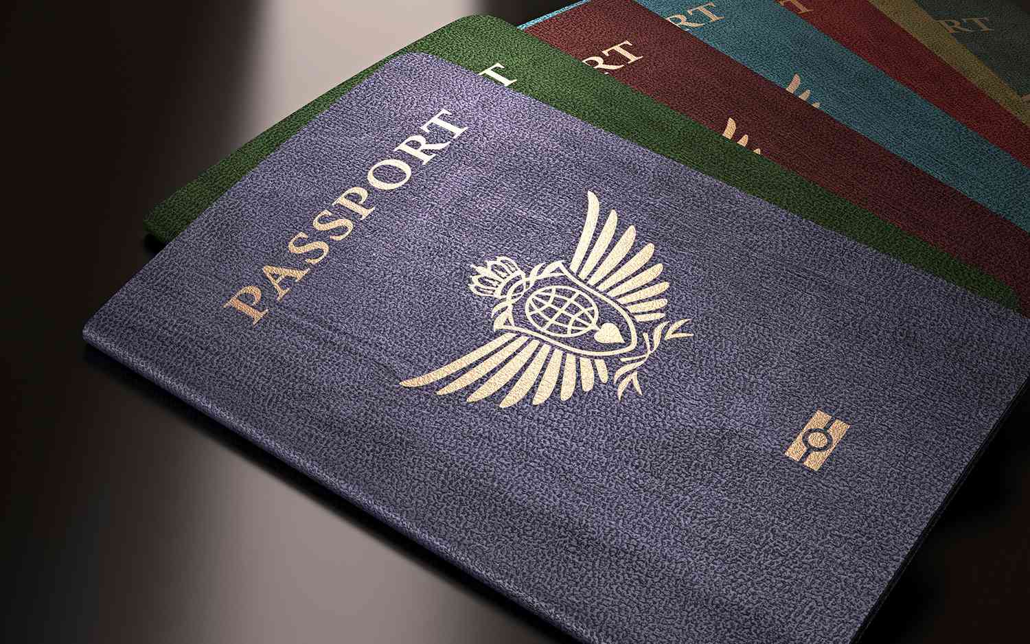 Passport-Locator-Number-Explanation passport-locator-number-explanation