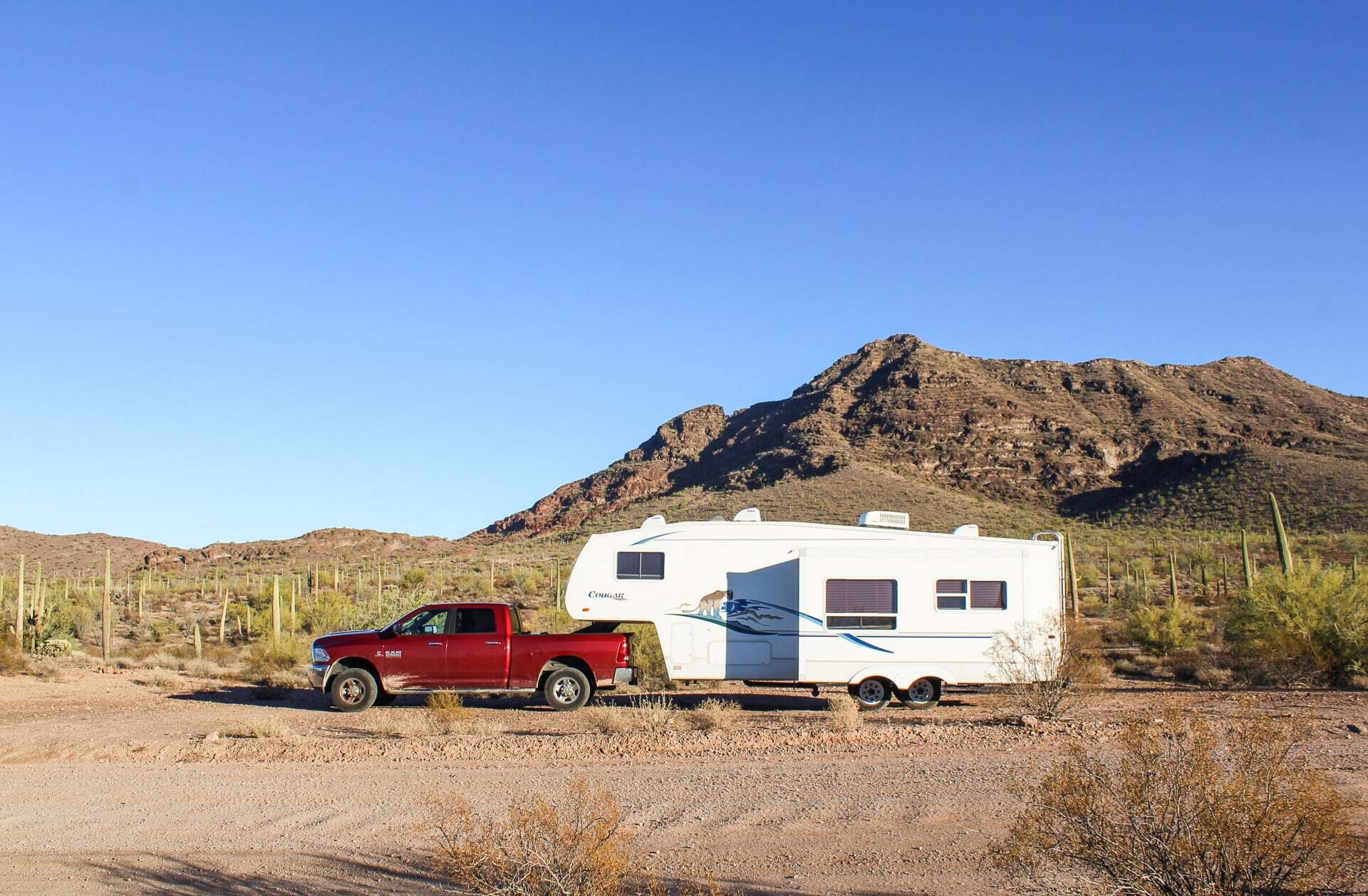 Understanding-BLM-In-Camping-What-Does-It-Mean understanding-blm-in-camping-what-does-it-mean