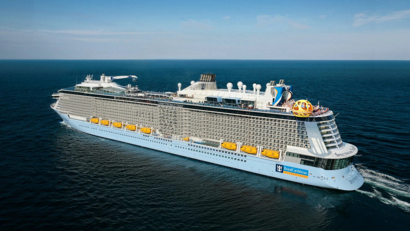 what-identification-is-needed-for-royal-caribbean-cruise