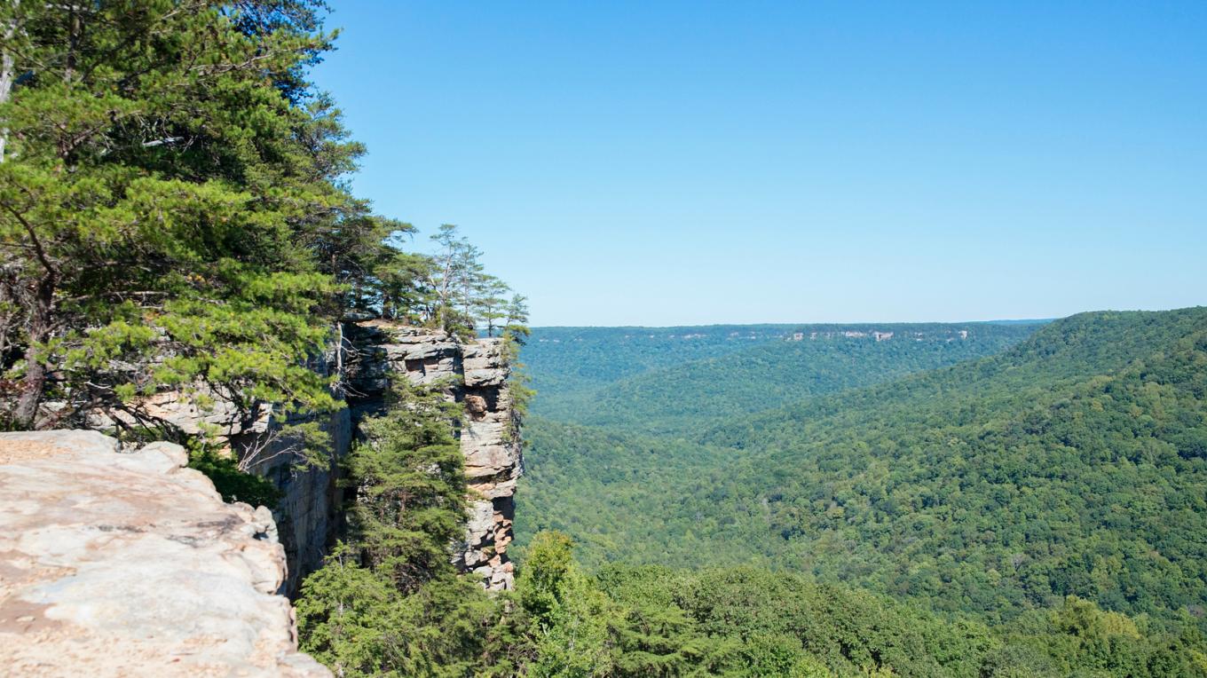 What-Is-The-Best-Campsite-At-The-Savage-Gulf-State-Area what-is-the-best-campsite-at-the-savage-gulf-state-area