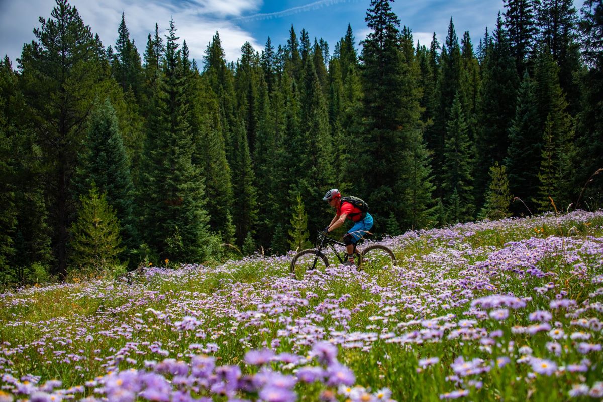 What-To-Bring-On-A-Trip-To-Colorado what-to-bring-on-a-trip-to-colorado