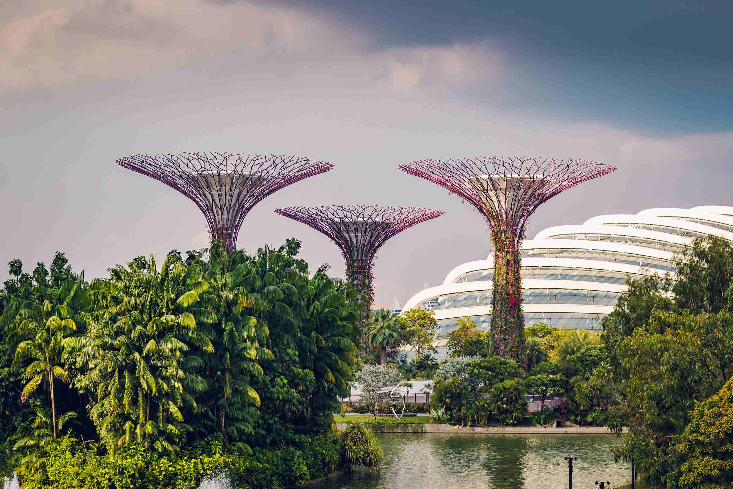 What-To-Do-On-A-Singapore-Layover what-to-do-on-a-singapore-layover