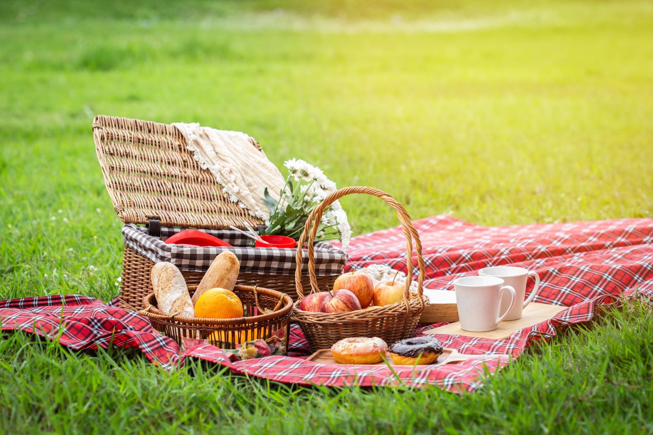 What-To-Prepare-For-A-Picnic what-to-prepare-for-a-picnic