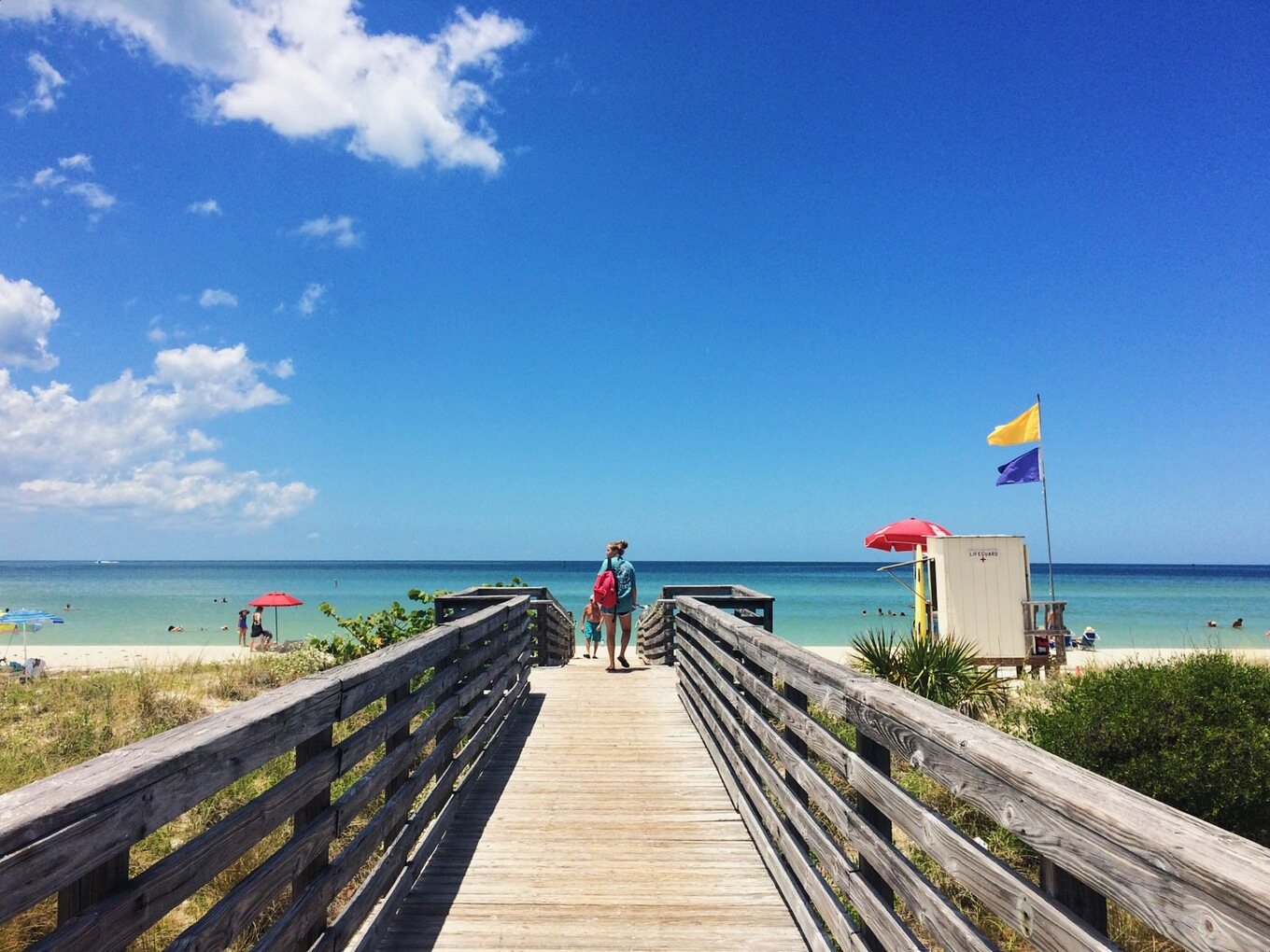 Where-Is-Honeymoon-Island-In-Florida where-is-honeymoon-island-in-florida