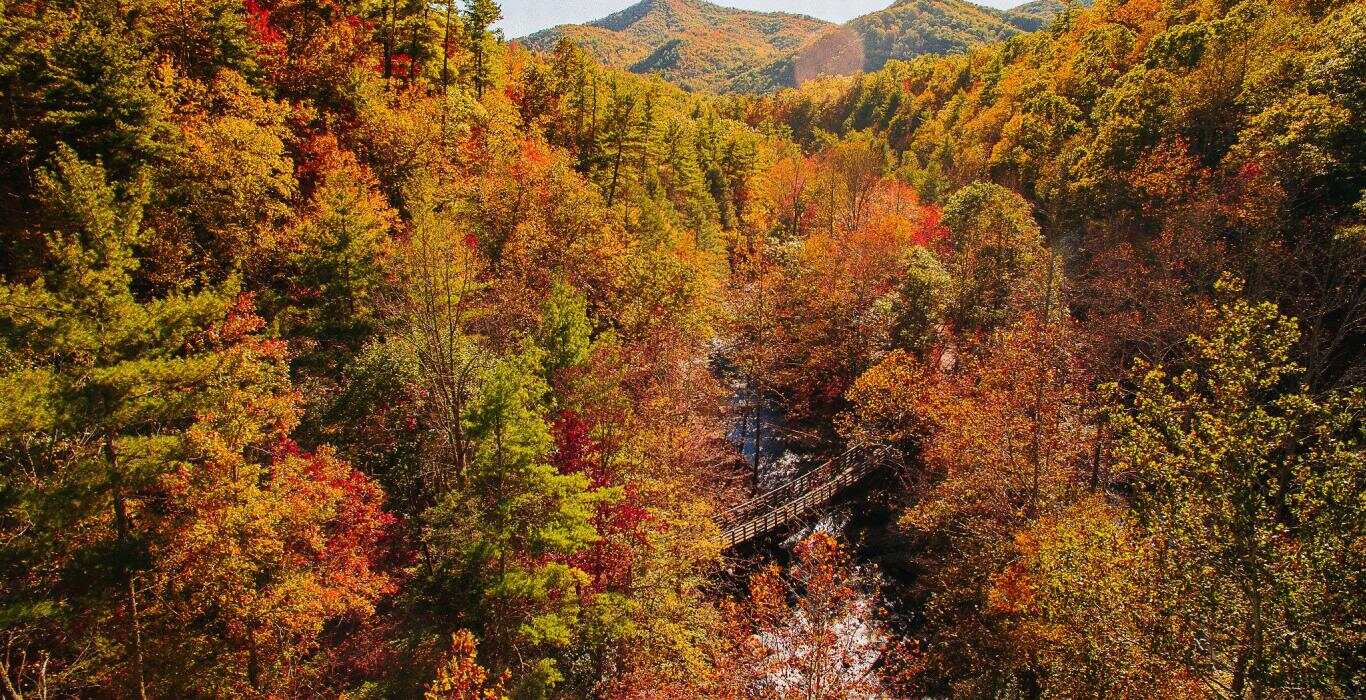 10-Thrilling-Adventures-To-Try-In-Suffolk-Virginia 10-thrilling-adventures-to-try-in-suffolk-virginia