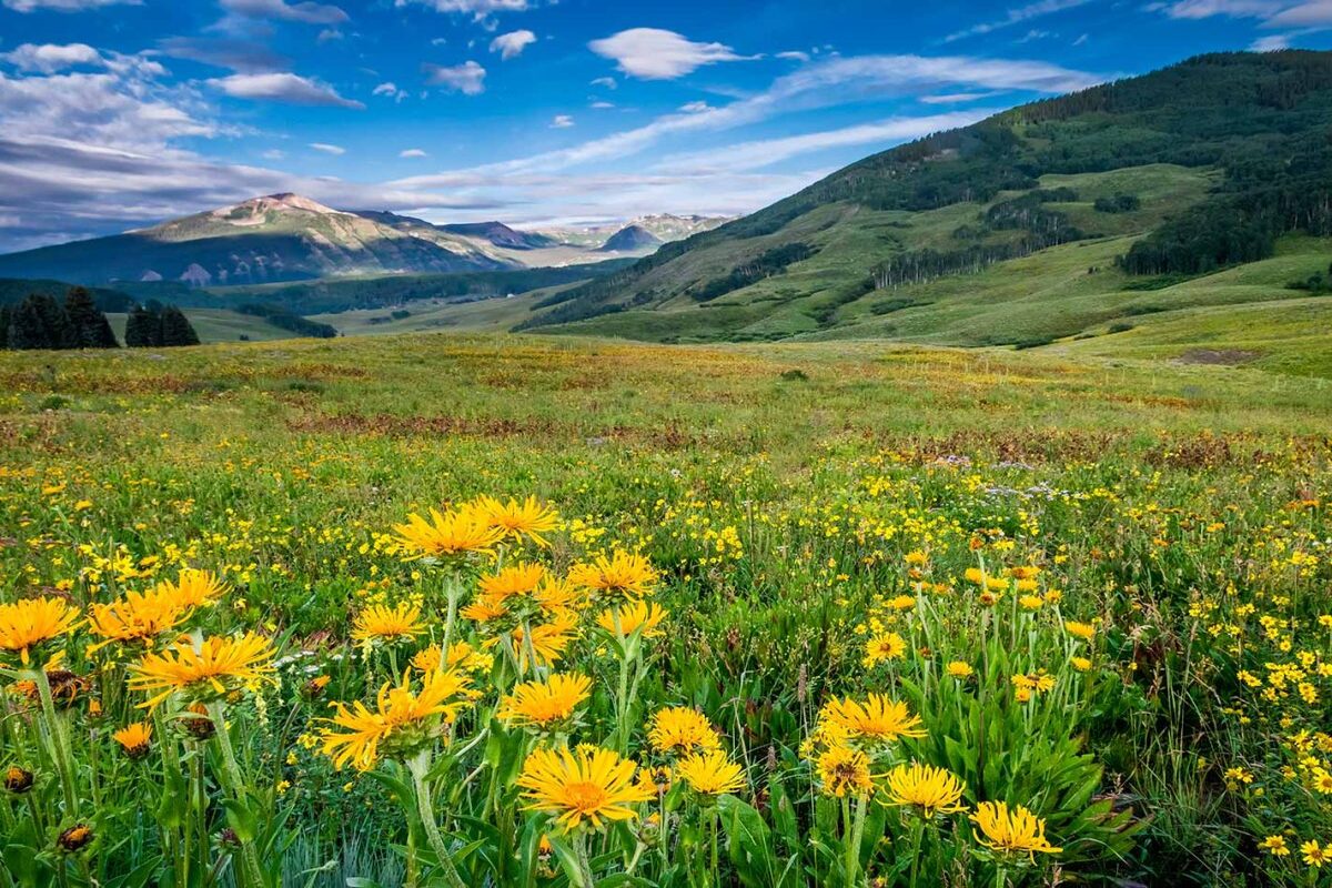 11-best-spots-for-photography-in-thornton-colorado