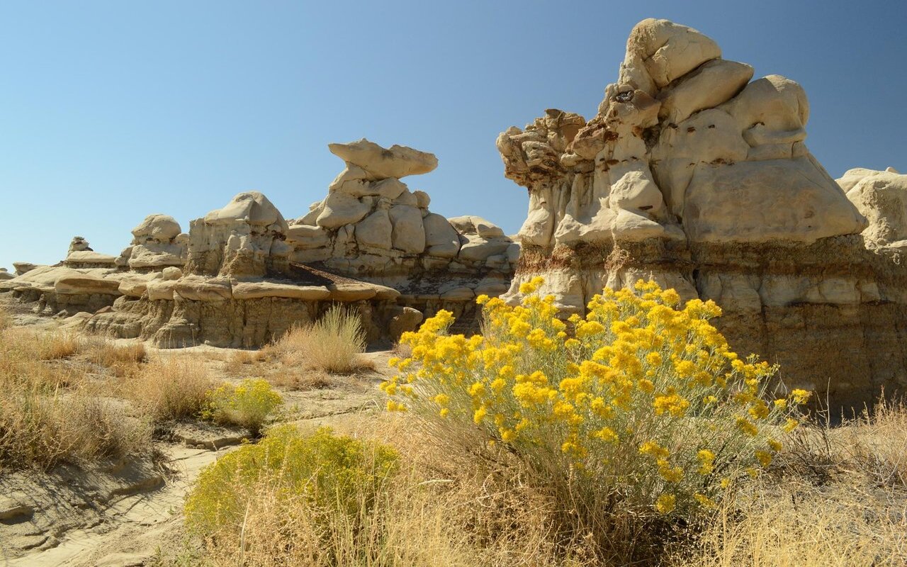 11-must-visit-historic-sites-in-farmington-new-mexico