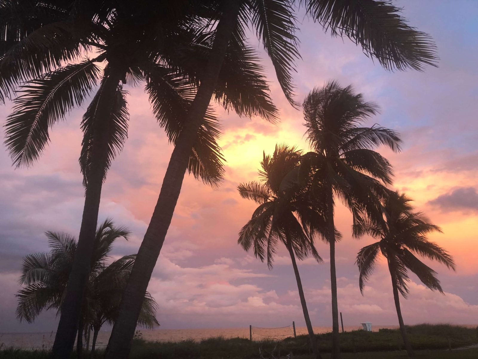 11 Stunning Natural Wonders in Pompano Beach, Florida TouristSecrets