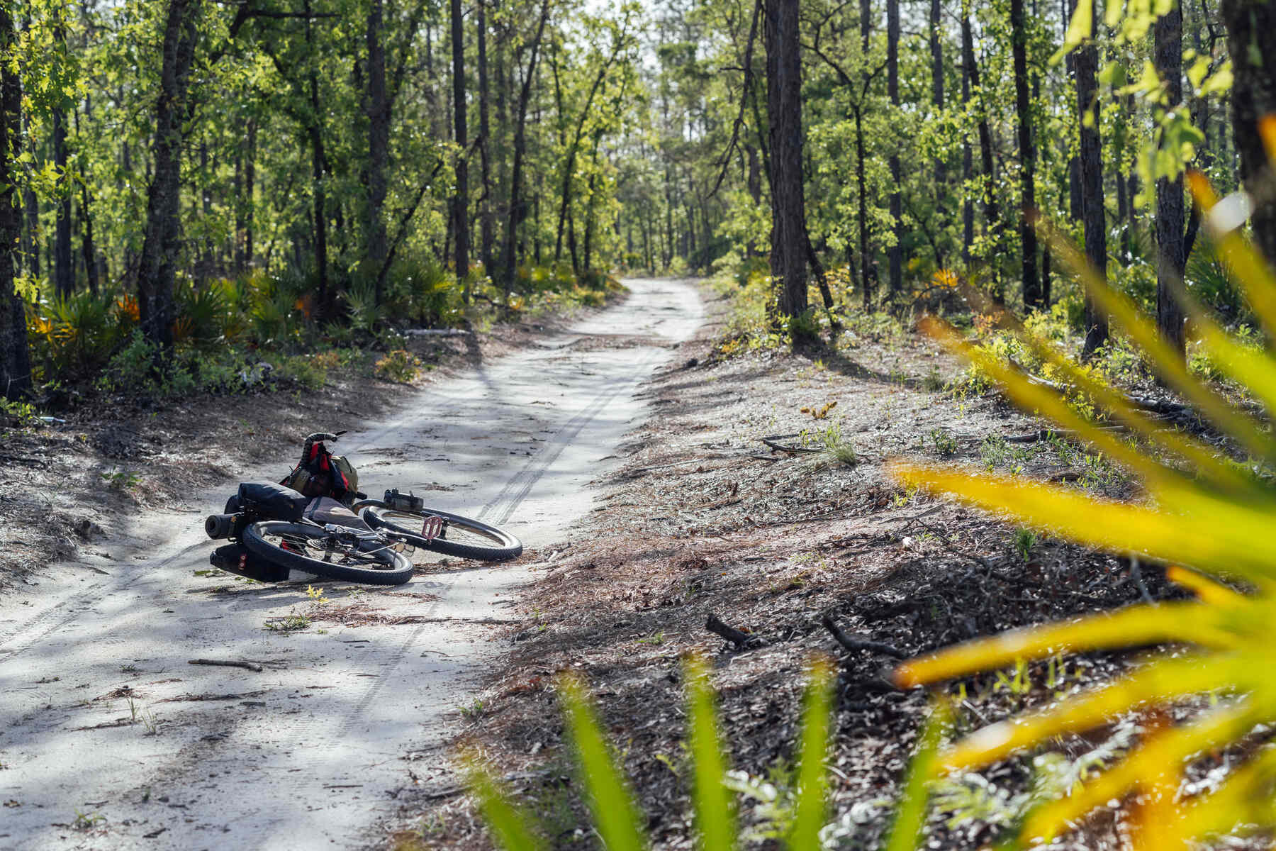 12-best-cycling-routes-in-apopka-florida