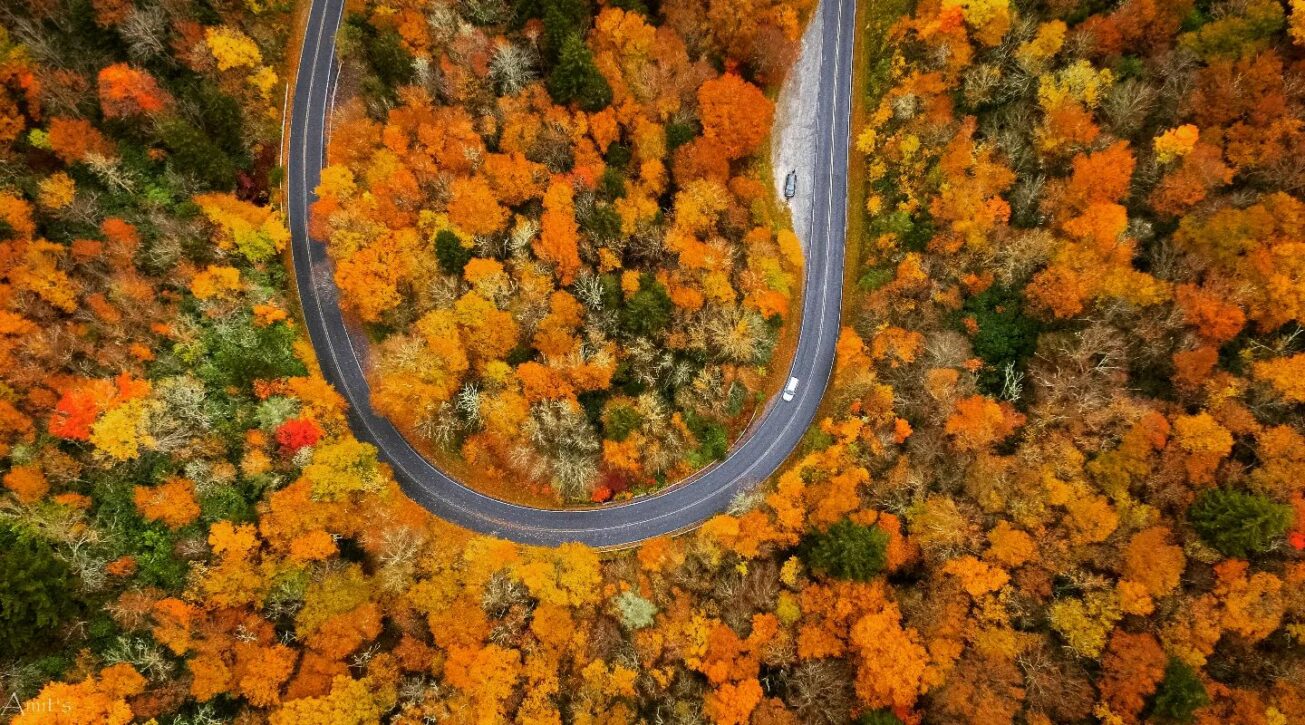 12-Breathtaking-Road-Trips-In-Raleigh-North-Carolina 12-breathtaking-road-trips-in-raleigh-north-carolina