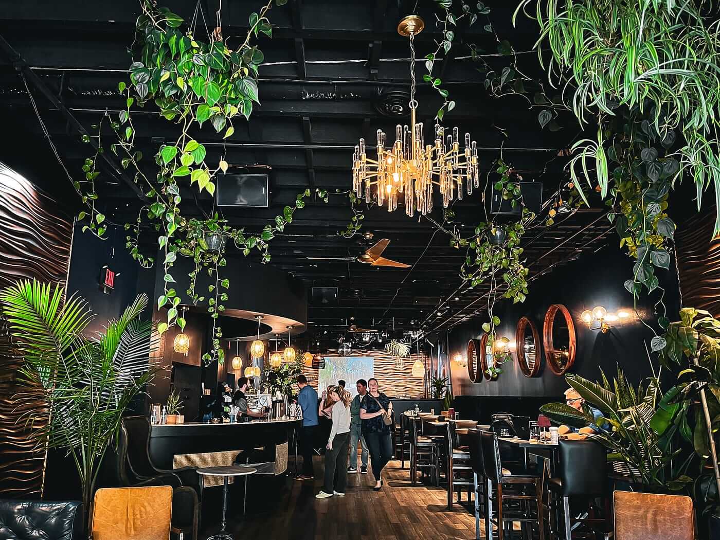 12 Cozy Coffee Shops to Discover in LexingtonFayette, Kentucky TouristSecrets