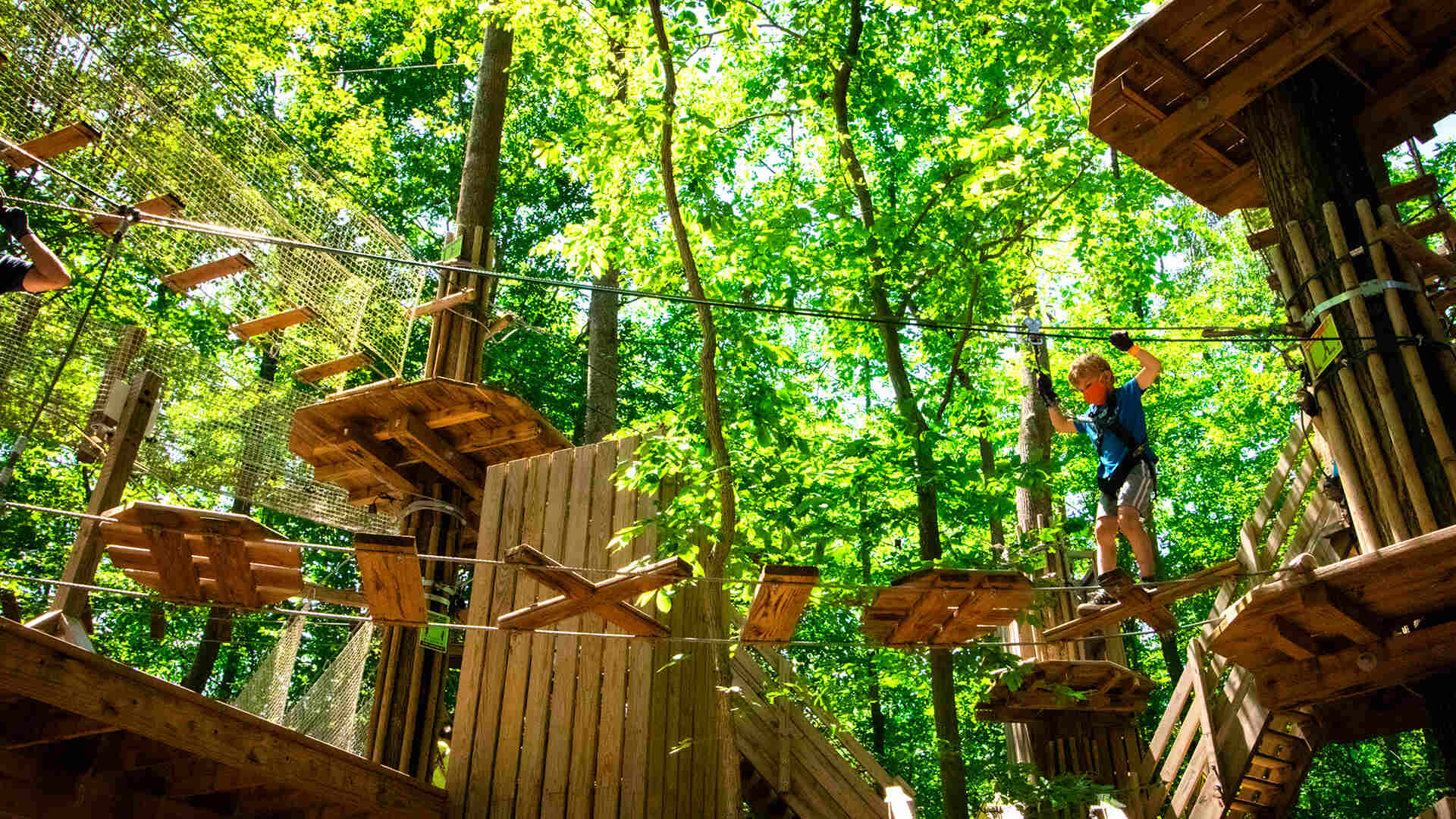 12-Family-Friendly-Activities-In-Norfolk-Virginia 12-family-friendly-activities-in-norfolk-virginia