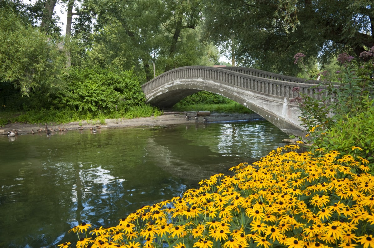 12-Hidden-Gems-To-Explore-In-Woodbury-Minnesota 12-hidden-gems-to-explore-in-woodbury-minnesota