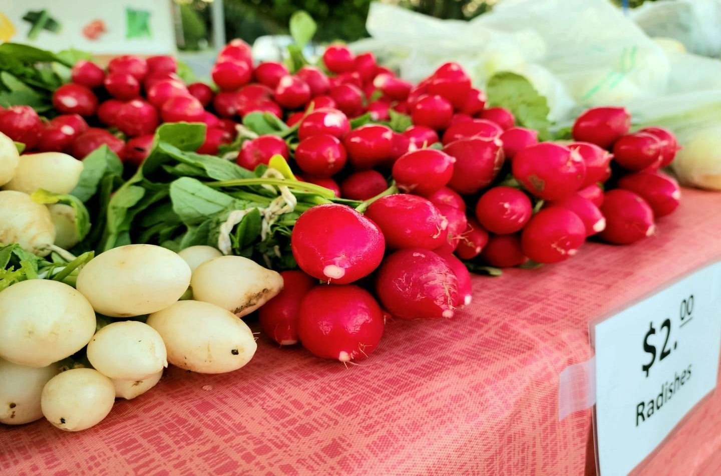 12-Outdoor-Markets-To-Shop-In-Conway-Arkansas 12-outdoor-markets-to-shop-in-conway-arkansas