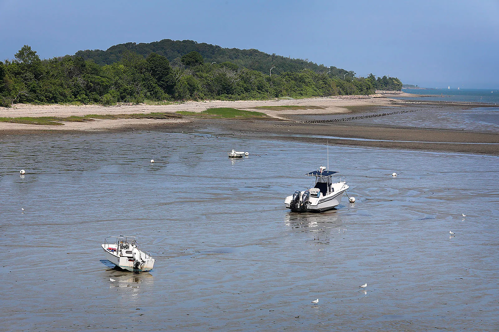 12 Spectacular Beaches to Visit in Quincy, Massachusetts TouristSecrets