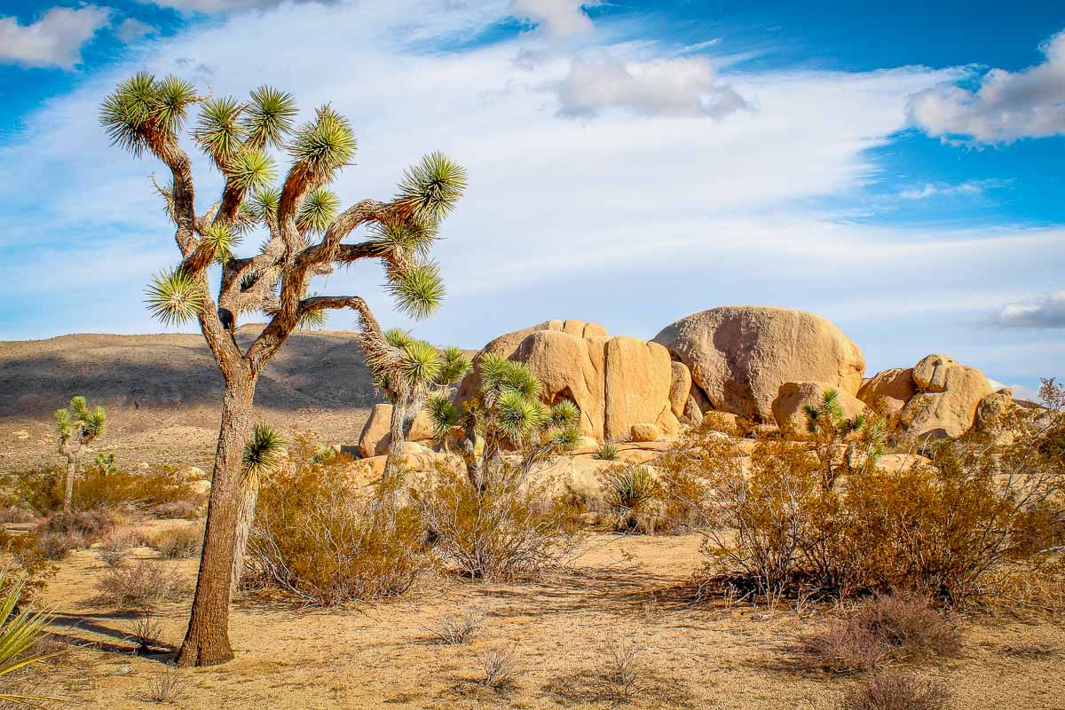 12-stunning-natural-wonders-in-eastvale-california