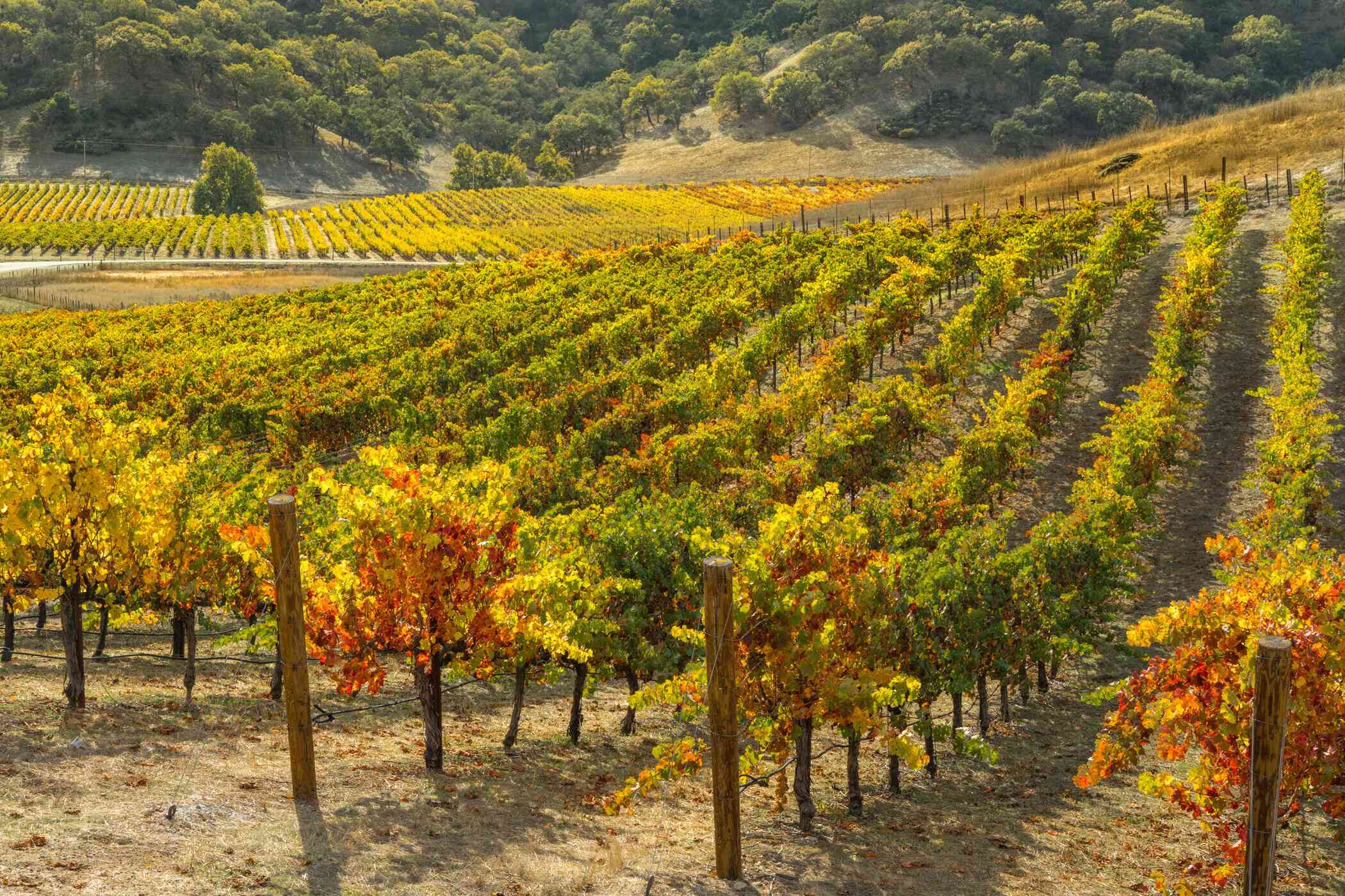 12-stunning-natural-wonders-in-morgan-hill-california