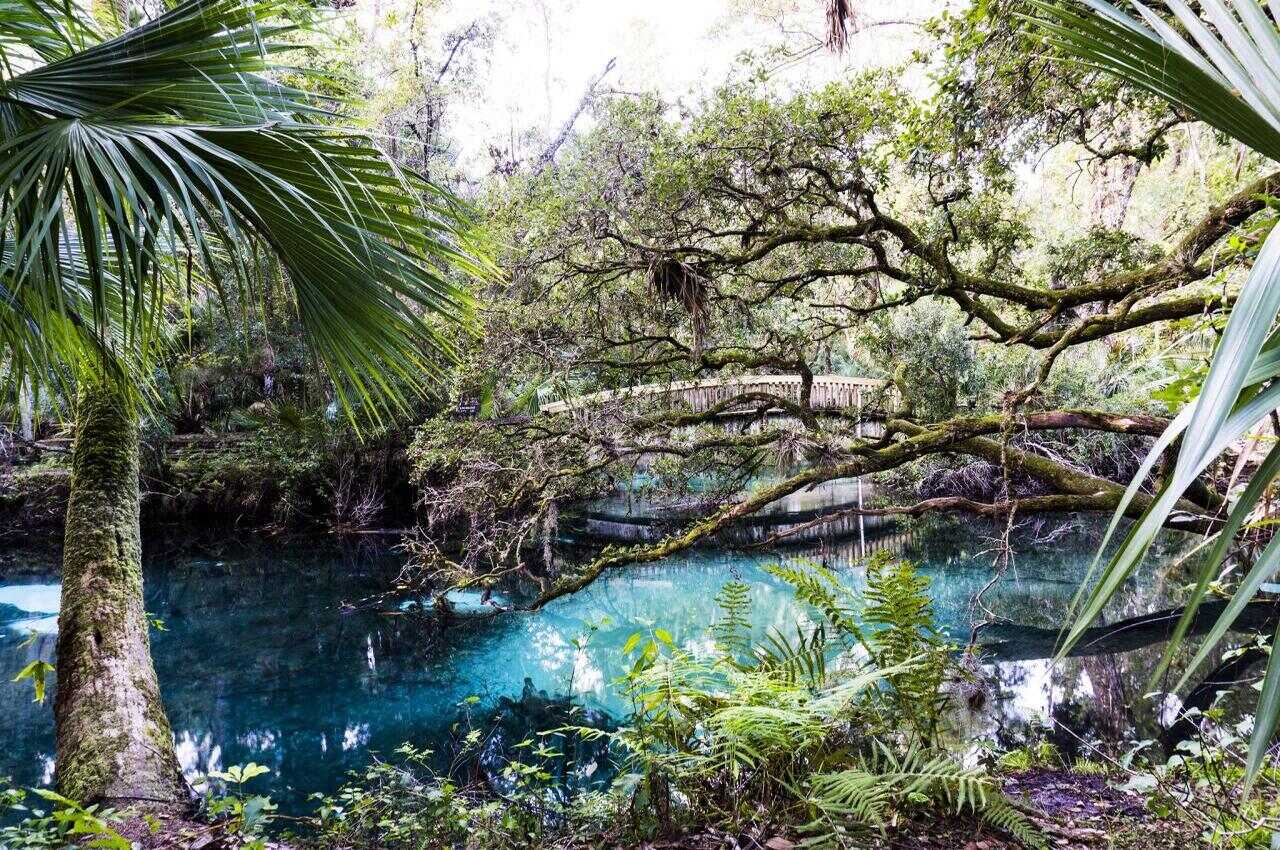 12-Stunning-Natural-Wonders-In-St.-Cloud-Florida 12-stunning-natural-wonders-in-st-cloud-florida