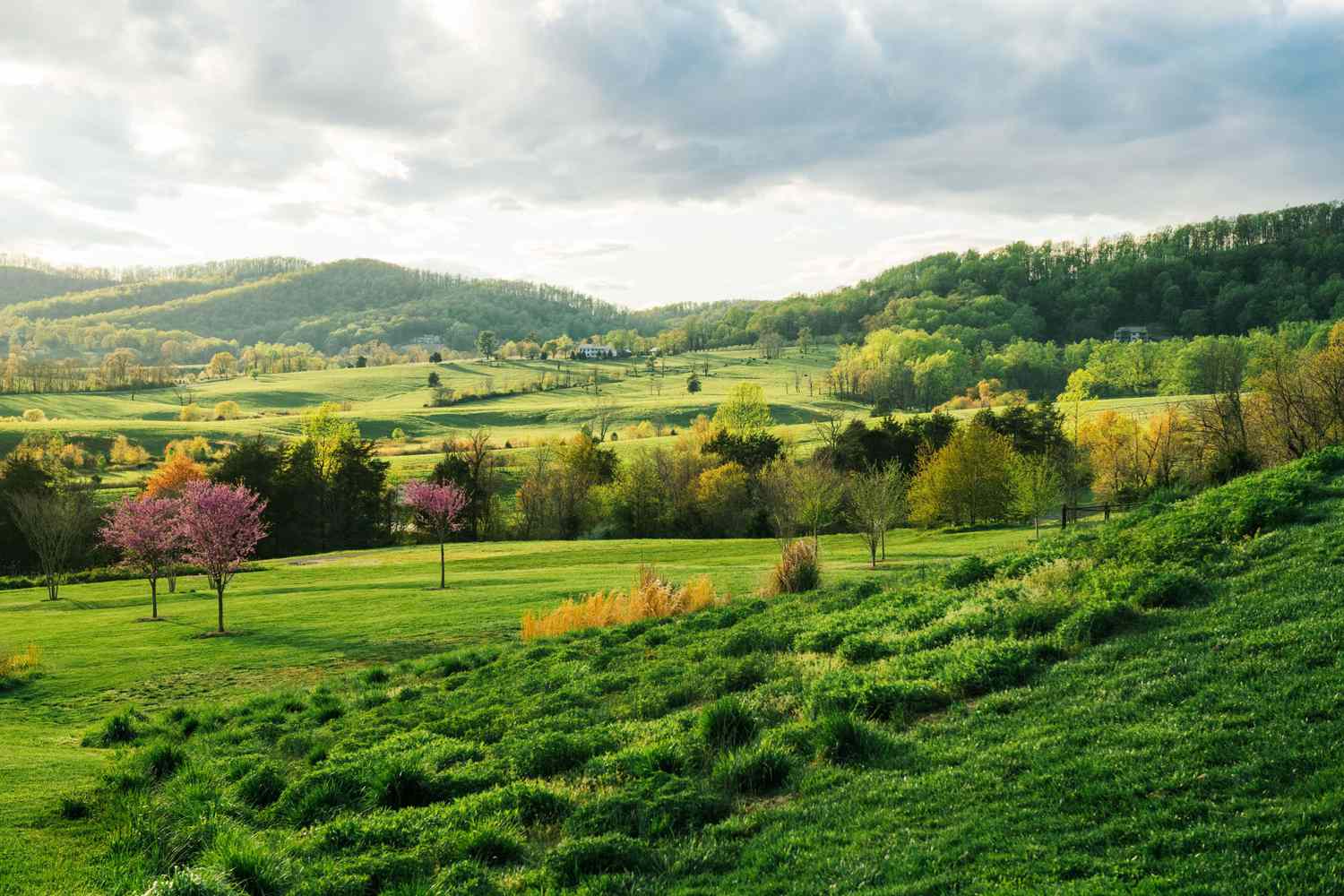 5-best-spots-for-photography-in-charlottesville-virginia