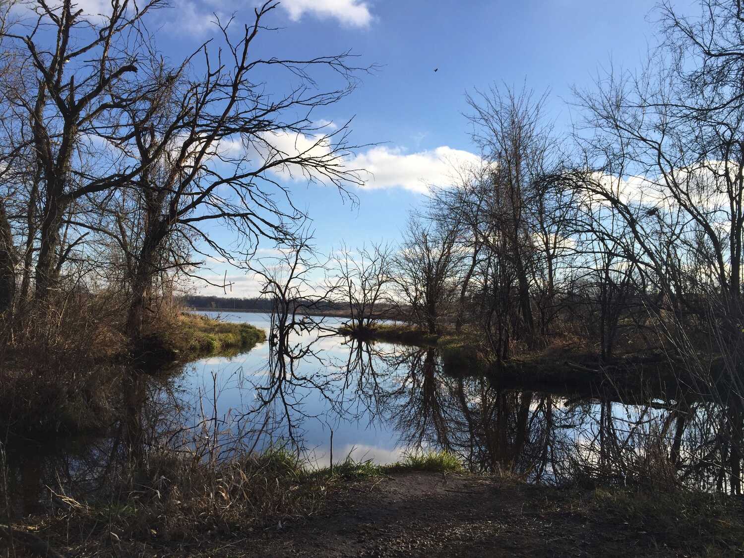 5-cultural-hotspots-to-check-out-in-olathe-kansas