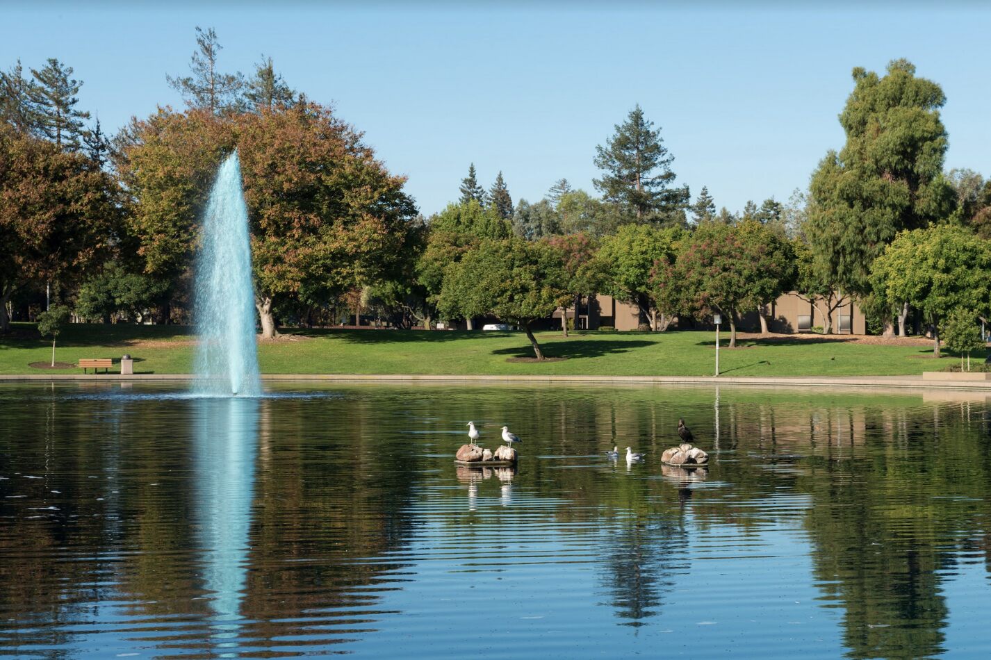 5-cultural-hotspots-to-check-out-in-sunnyvale-california