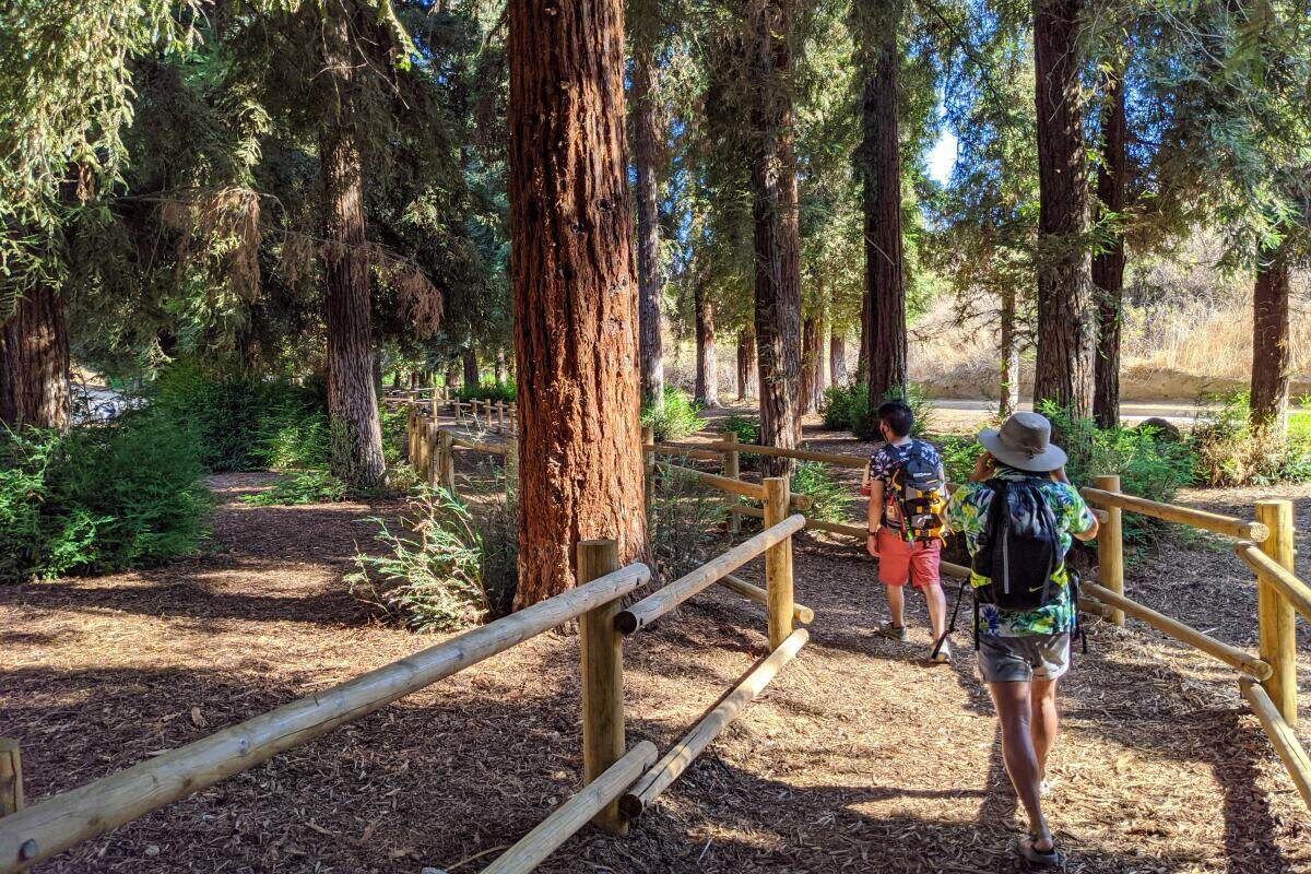 5-Scenic-Hikes-To-Take-In-Brea-California 5-scenic-hikes-to-take-in-brea-california