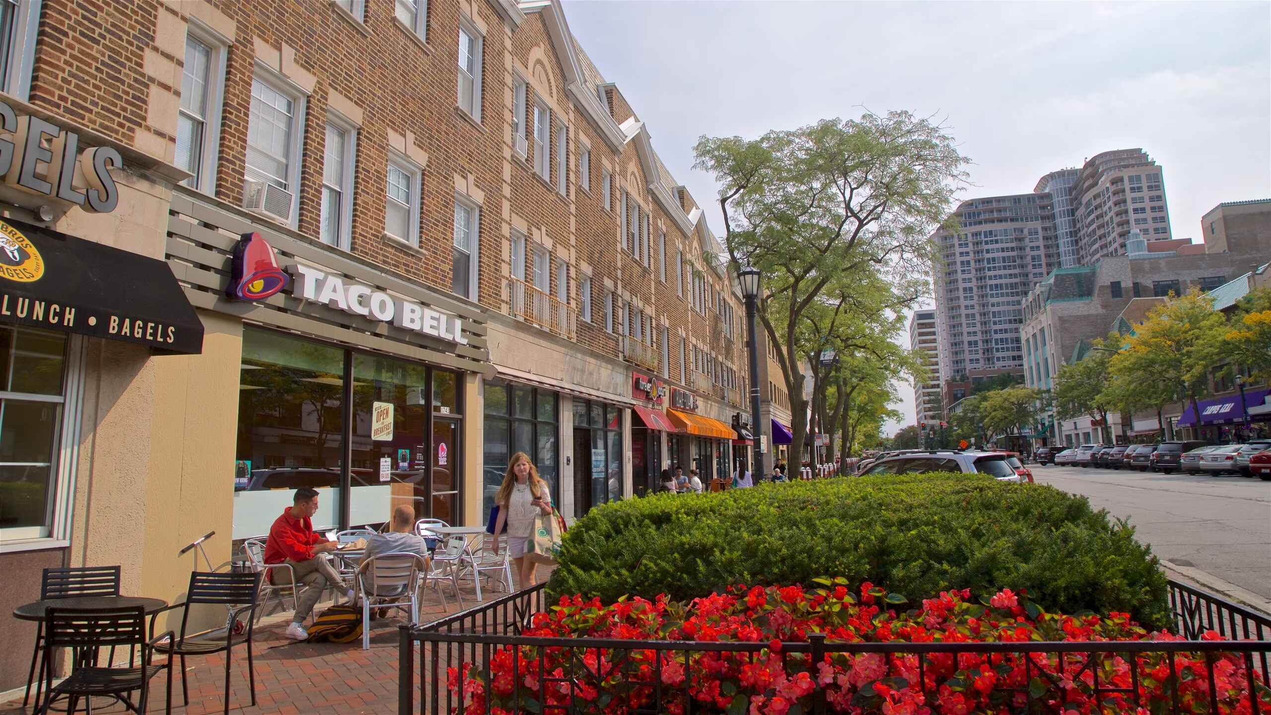 5-Thrilling-Adventures-To-Try-In-Evanston-Illinois 5-thrilling-adventures-to-try-in-evanston-illinois