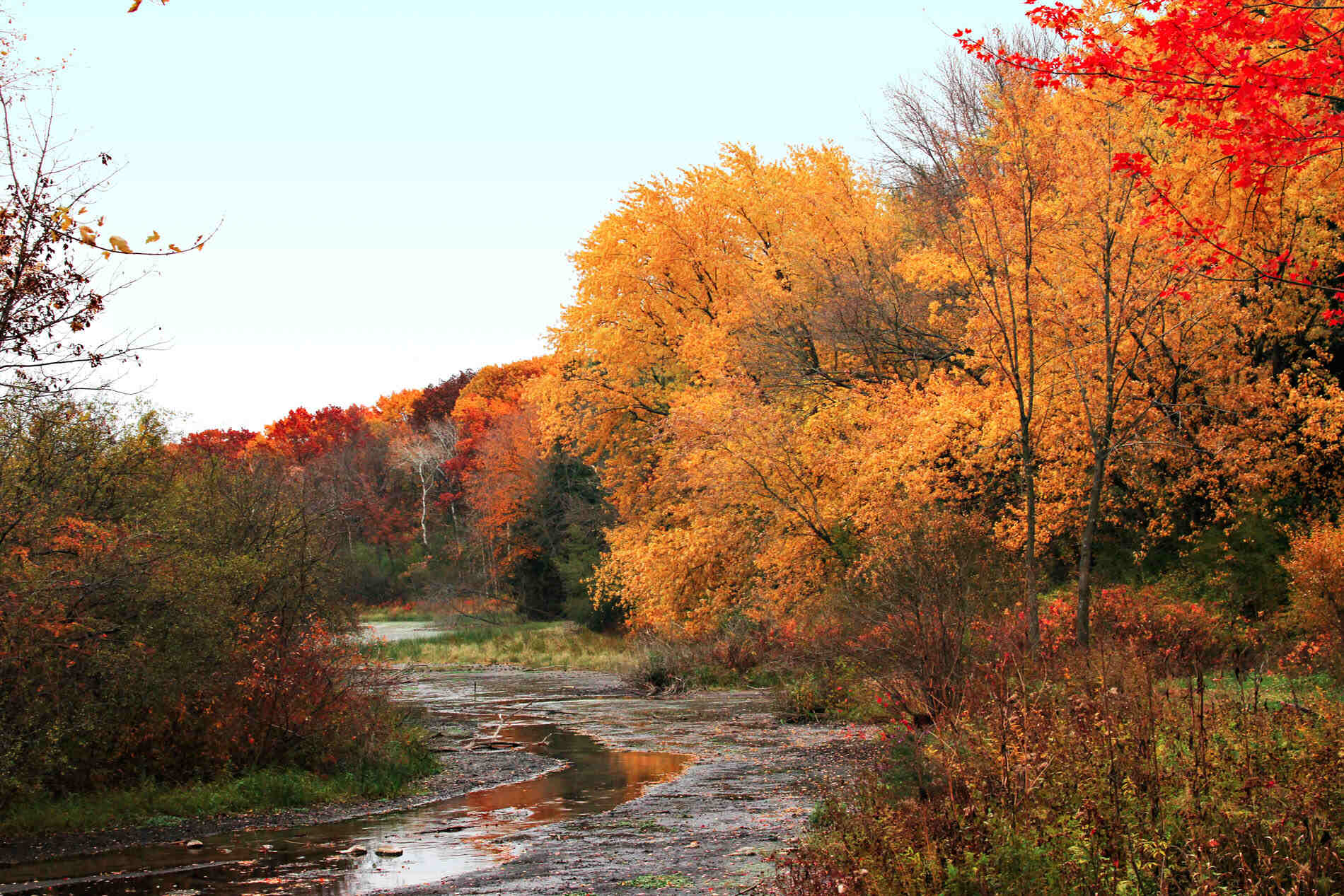 5-unique-museums-to-explore-in-janesville-wisconsin