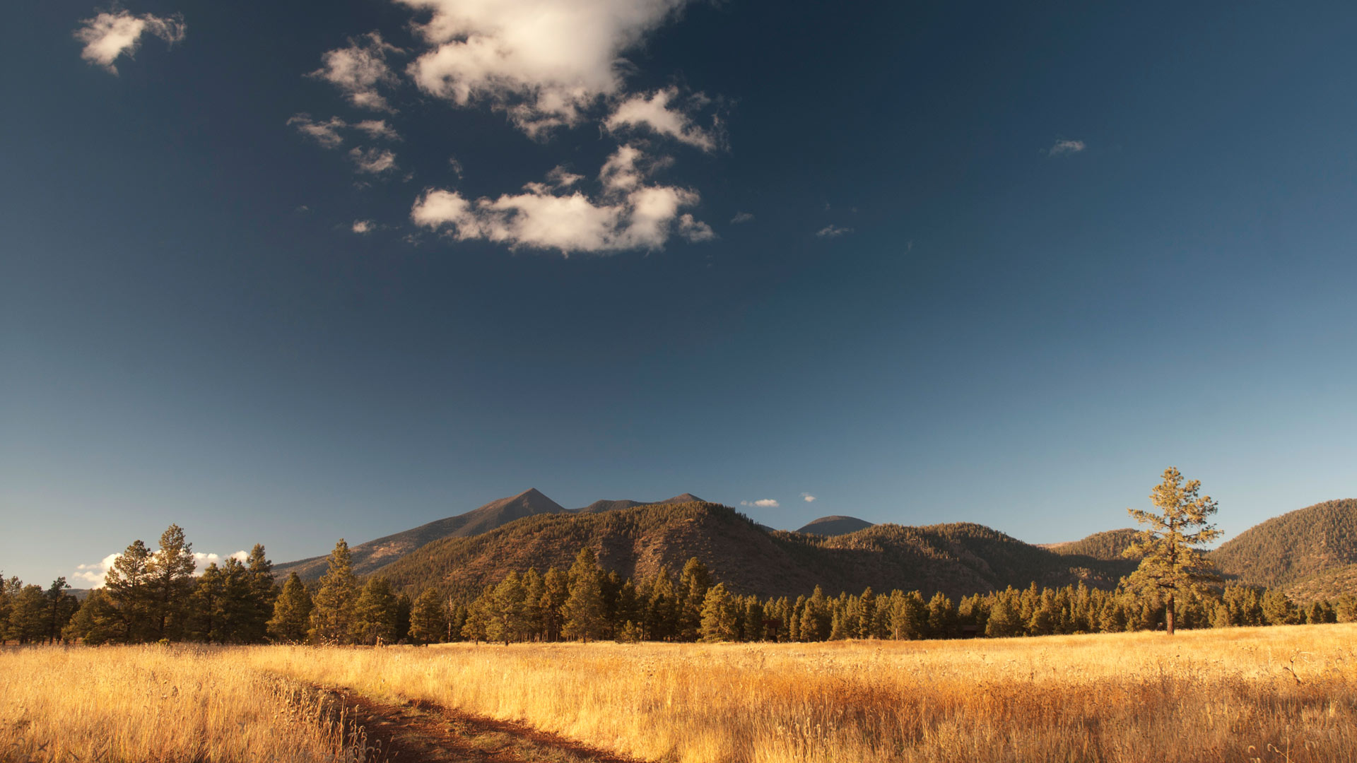 6-best-spots-for-photography-in-flagstaff-arizona