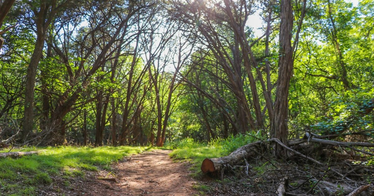 6-Scenic-Hikes-To-Take-In-Abilene-Texas 6-scenic-hikes-to-take-in-abilene-texas