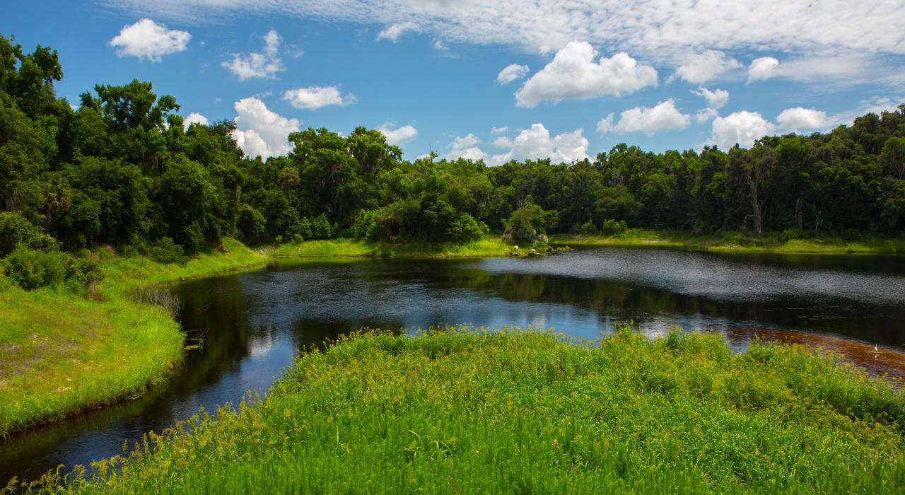 6-Stunning-Natural-Wonders-In-Gainesville-Florida 6-stunning-natural-wonders-in-gainesville-florida