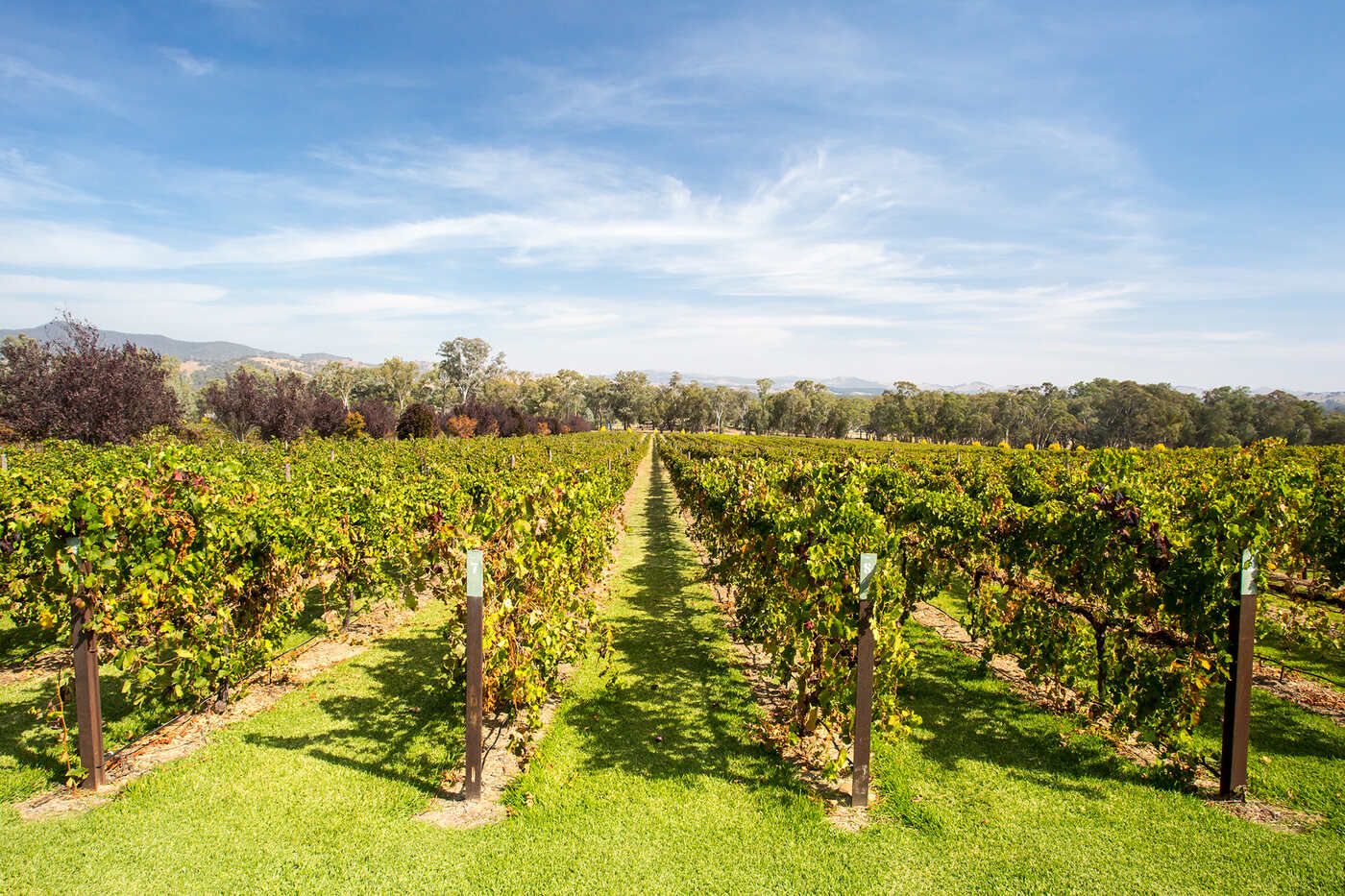 6-top-wine-tasting-destinations-in-passaic-new-jersey