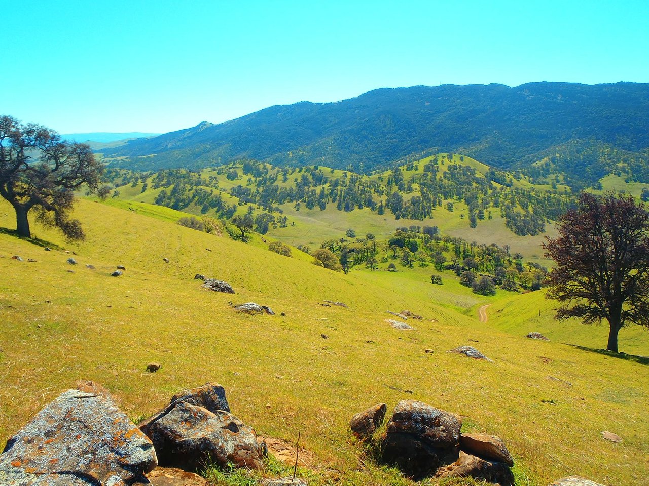 7-Best-Spots-For-Photography-In-Brentwood-California 7-best-spots-for-photography-in-brentwood-california