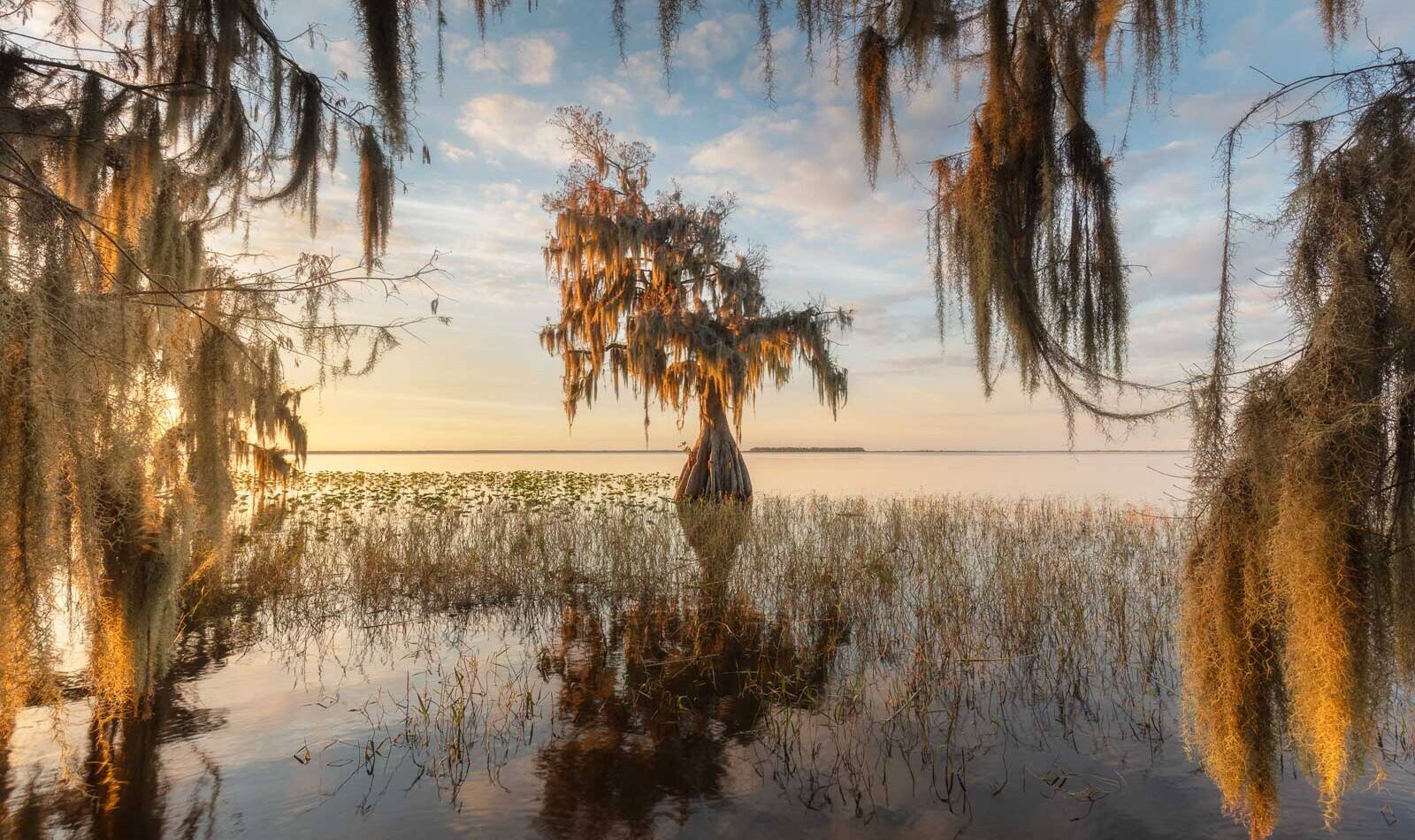 7-best-spots-for-photography-in-coral-springs-florida