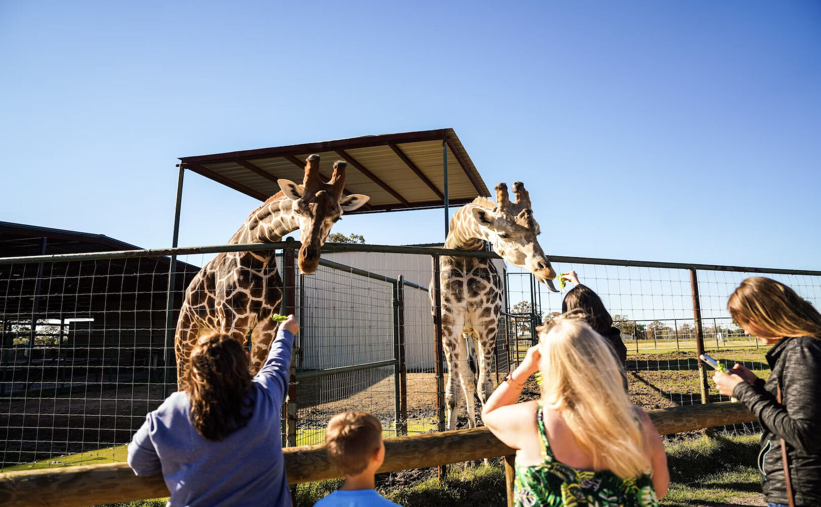 7-family-friendly-activities-in-bryan-texas