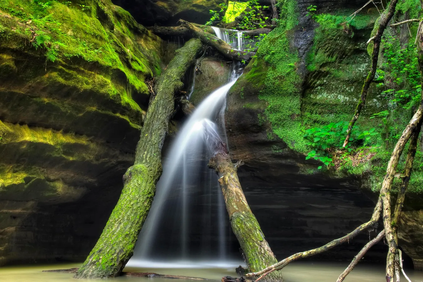 7-scenic-hikes-to-take-in-calumet-city-illinois