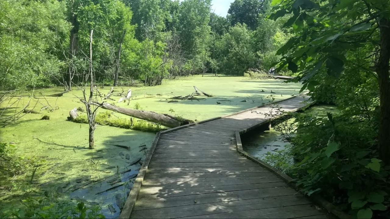 7-Scenic-Hikes-To-Take-In-Glenview-Illinois 7-scenic-hikes-to-take-in-glenview-illinois