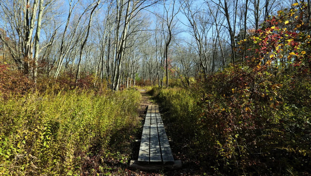 7-scenic-hikes-to-take-in-new-bedford-massachusetts