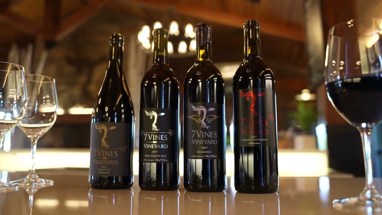 7-top-wine-tasting-destinations-in-minneapolis-minnesota