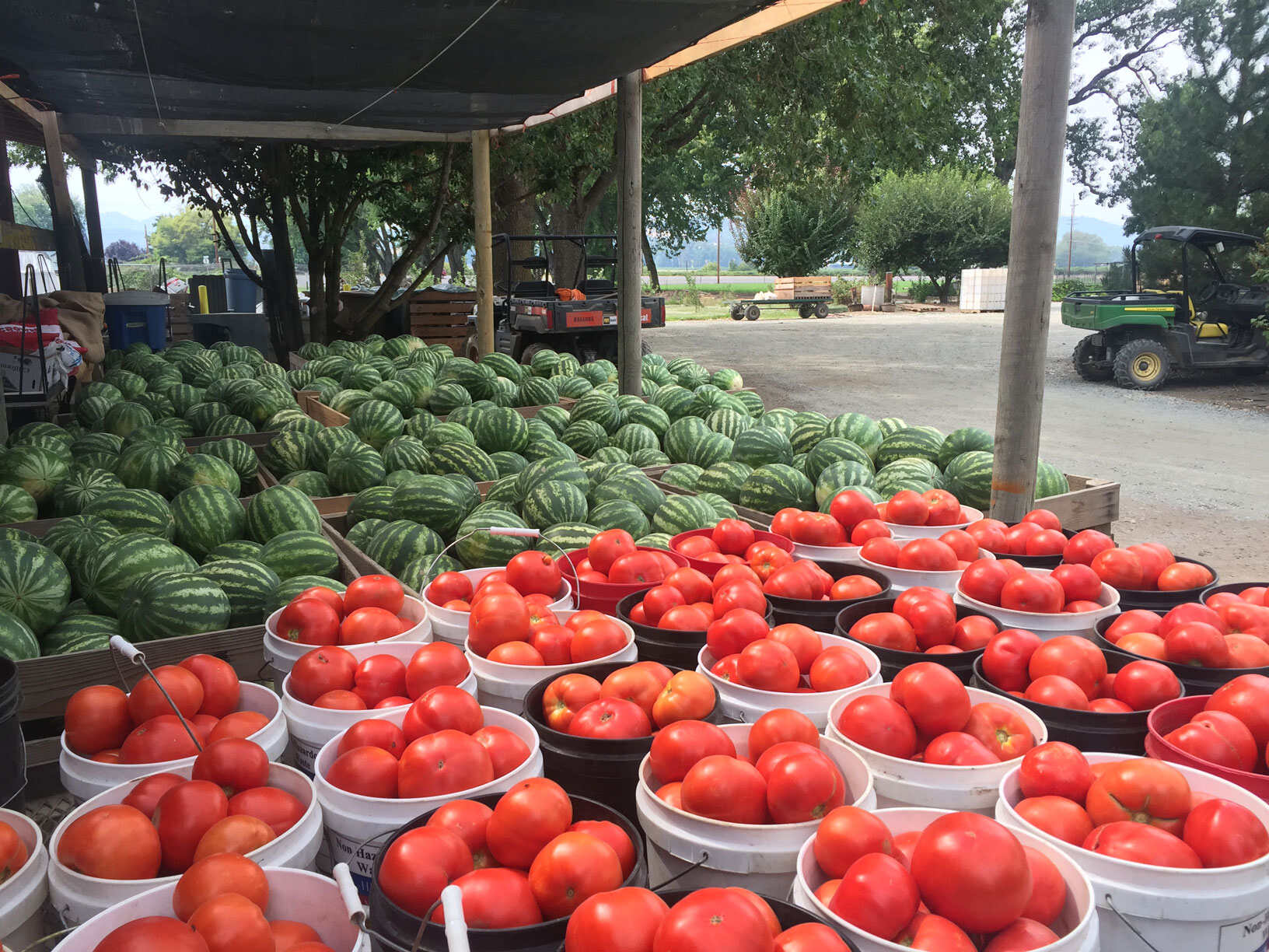 8-Outdoor-Markets-To-Shop-In-Medford-Oregon 8-outdoor-markets-to-shop-in-medford-oregon