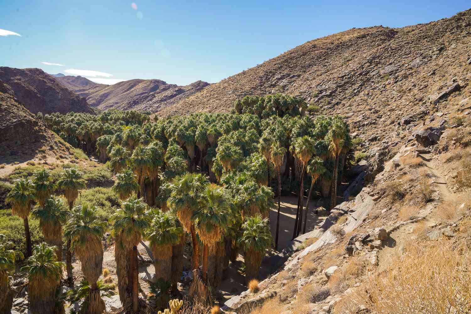 8-Stunning-Natural-Wonders-In-Palm-Desert-California 8-stunning-natural-wonders-in-palm-desert-california