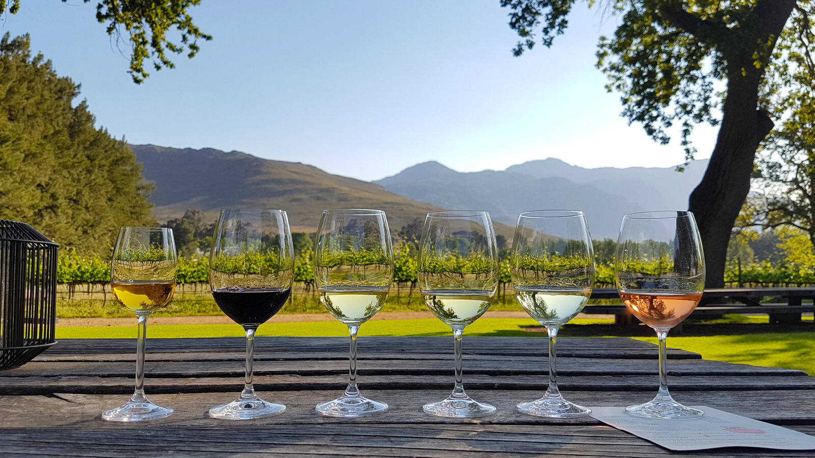8-Top-Wine-Tasting-Destinations-In-Kingsport-Tennessee 8-top-wine-tasting-destinations-in-kingsport-tennessee