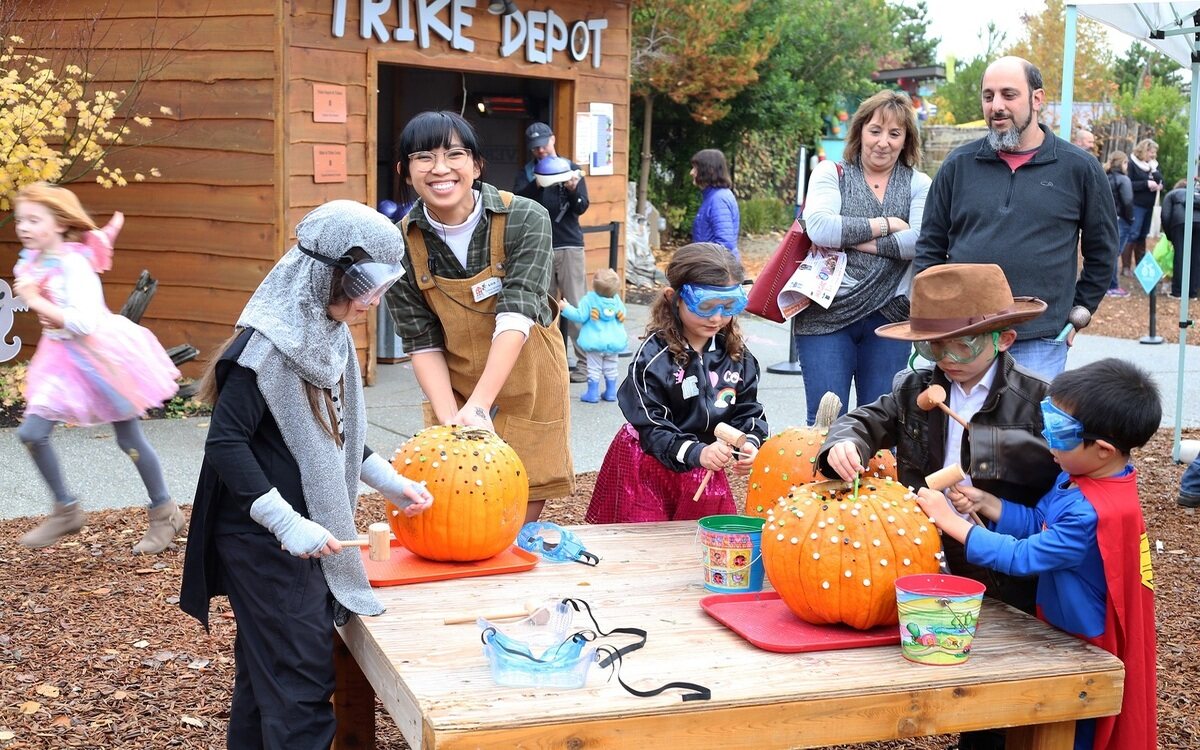 9-family-friendly-activities-in-olympia-washington