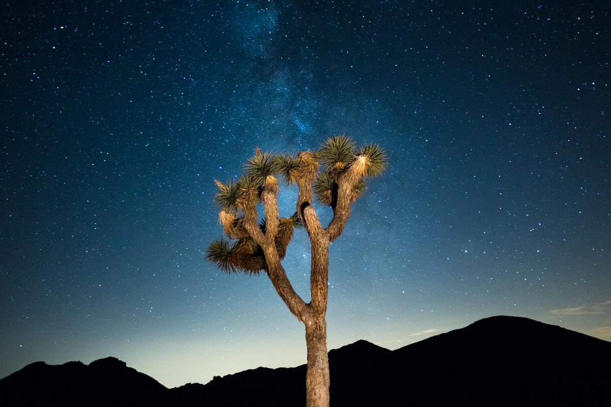 9-Nightlife-Spots-To-Experience-In-Palm-Desert-California 9-nightlife-spots-to-experience-in-palm-desert-california