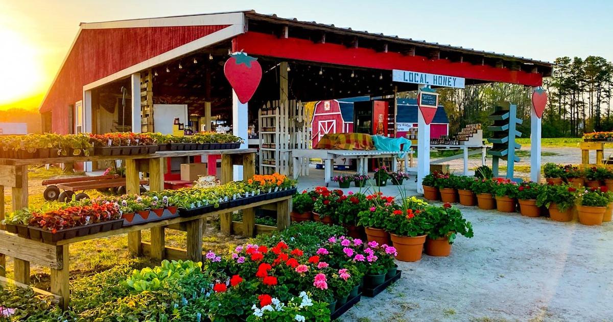 9-outdoor-markets-to-shop-in-chesapeake-virginia
