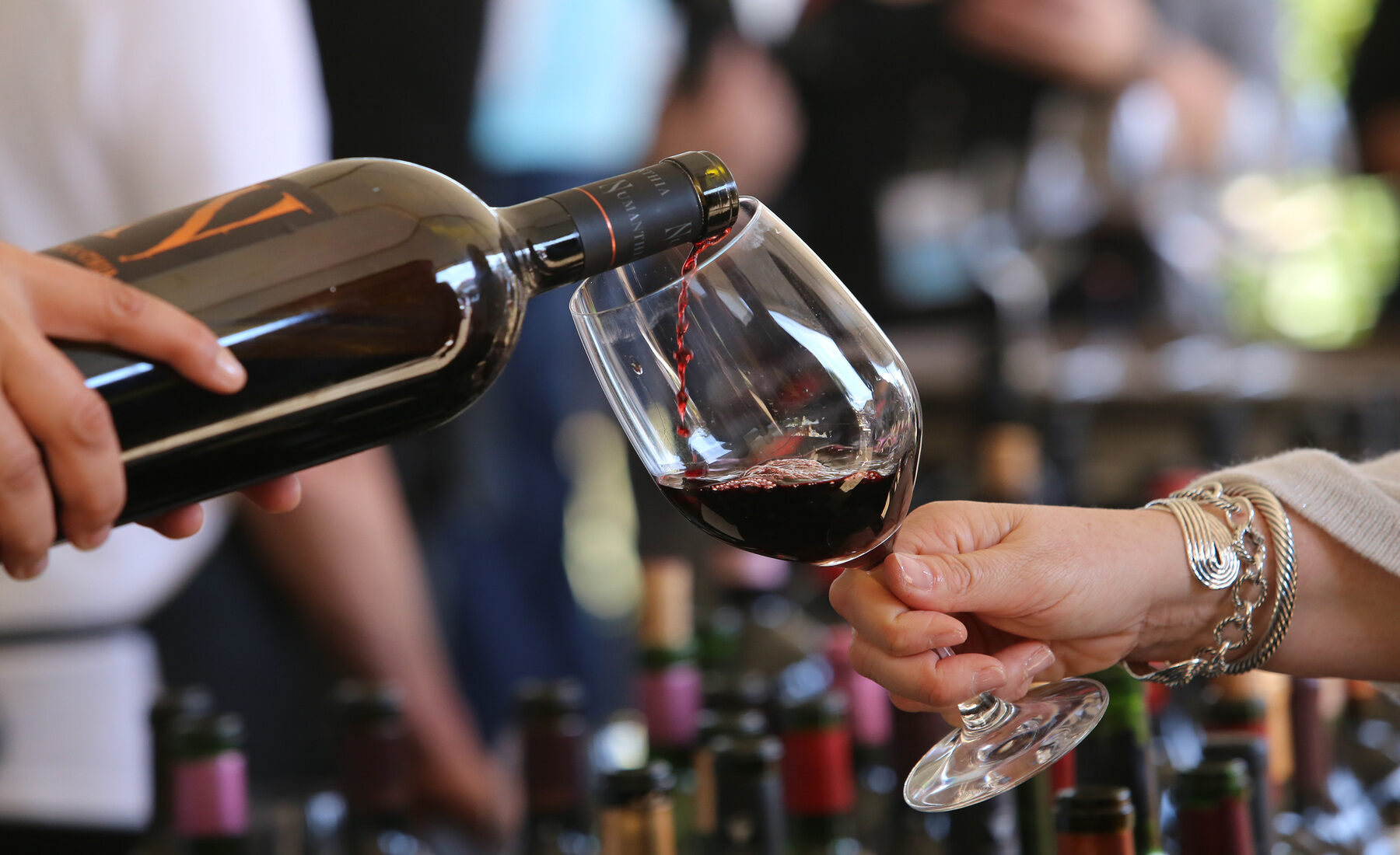 9 Top Wine Tasting Destinations in Fort Myers, Florida TouristSecrets