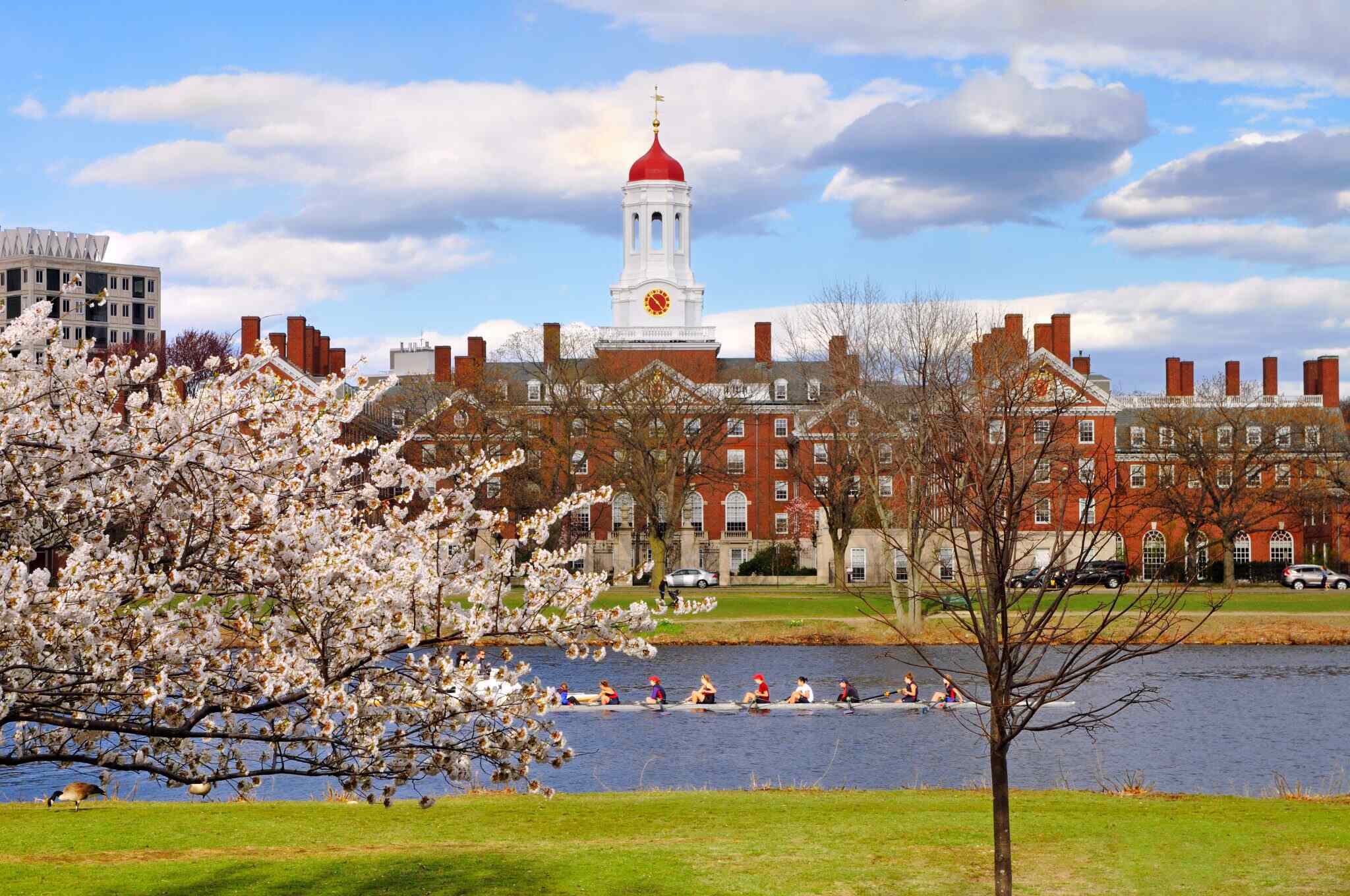 9-Unforgettable-Experiences-In-Cambridge-Massachusetts 9-unforgettable-experiences-in-cambridge-massachusetts