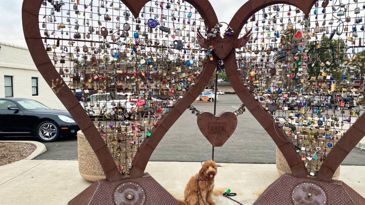 9-Unique-Museums-To-Explore-In-Vista-California 9-unique-museums-to-explore-in-vista-california