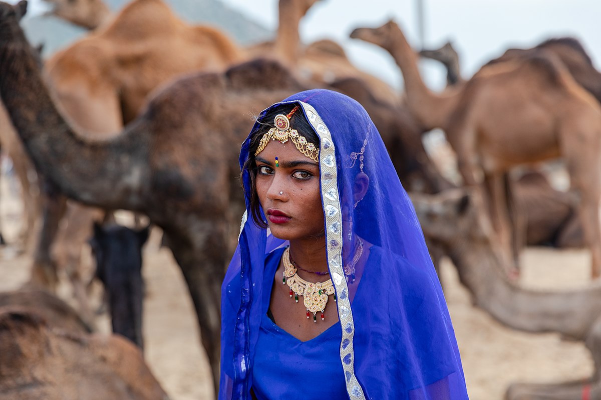 What-Is-A-Nomadic-Gypsy what-is-a-nomadic-gypsy